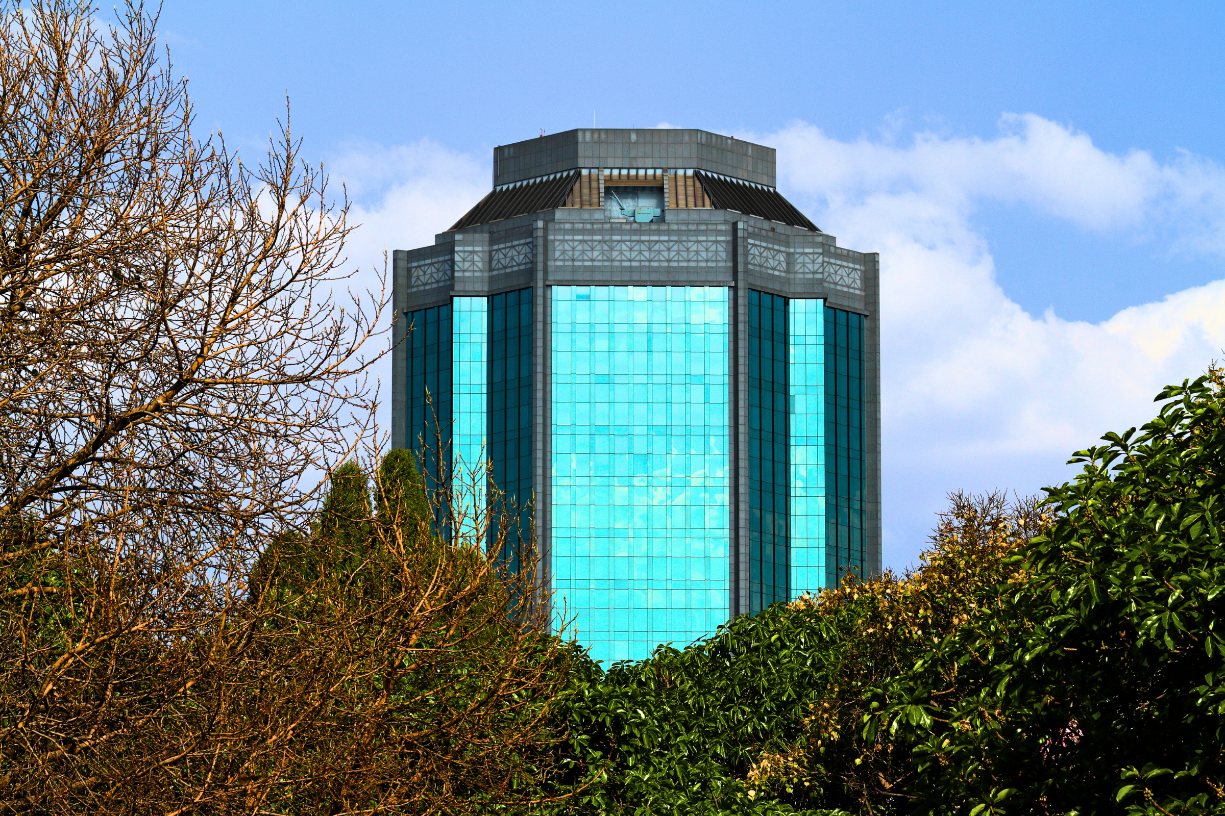 harare (2).webp
